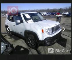 جيب رينيجيد